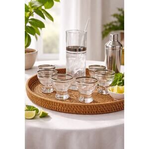 Vintage 1950's Platinum Band Atomic Cocktail Pitcher Set Barware Cocktail Glass